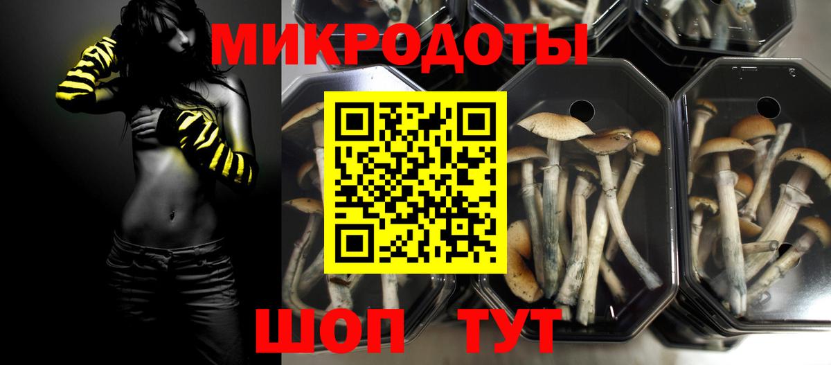 Урус-Мартан  Галлюциногенные грибы Psilocybine cubensis  Вход с VPN  Галлюциногенные грибы Magic Shrooms 